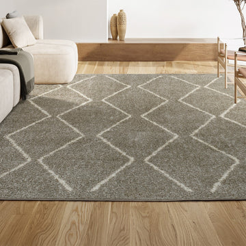 Catala Moroccan Diamond Shag Area Rug